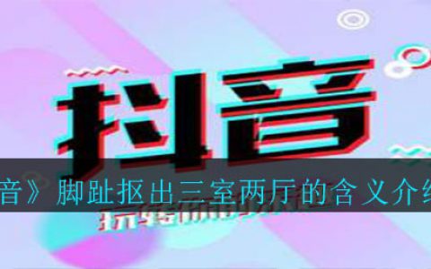 抖阴脚趾抠出三室两厅是什么梗 脚趾抠出三室两厅的含义介绍