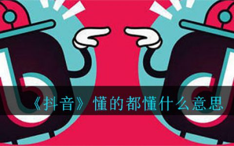 抖阴懂的都懂什么意思 懂的都懂意思介绍