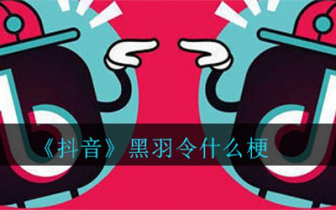 抖阴黑羽令什么梗 黑羽令梗的介绍