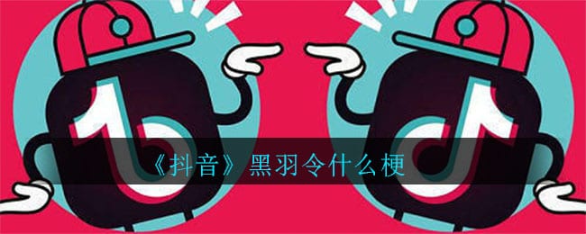 抖阴黑羽令什么梗 黑羽令梗的介绍