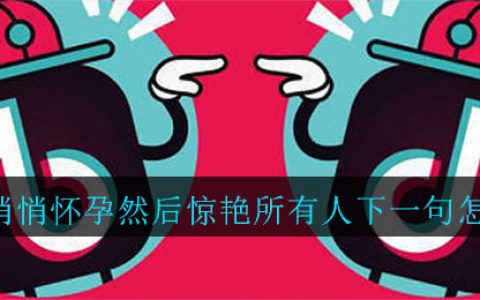 抖阴你要悄悄怀孕然后惊艳所有人下一句怎么接 你要悄悄怀孕然后惊艳所有人下一句内容介绍