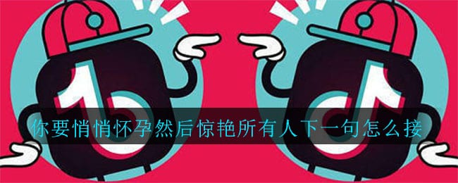 抖阴你要悄悄怀孕然后惊艳所有人下一句怎么接 你要悄悄怀孕然后惊艳所有人下一句内容介绍