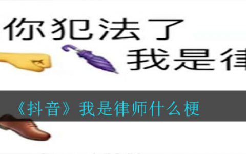 抖阴我是律师什么梗 我是律师梗的介绍