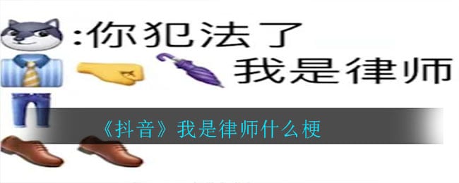 抖阴我是律师什么梗 我是律师梗的介绍