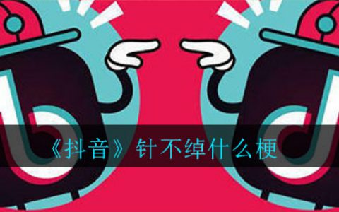 抖阴针不绰什么梗 针不绰梗的介绍