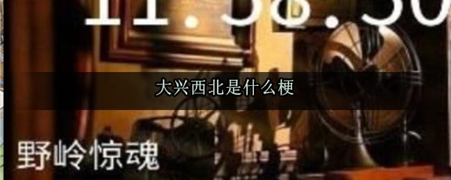 大兴西北是什么梗 大兴西北是什么意思