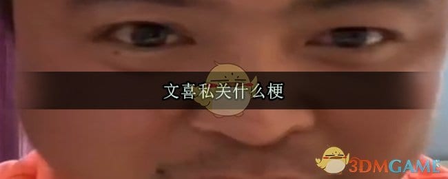 文喜私关什么意思 文喜私关什么梗