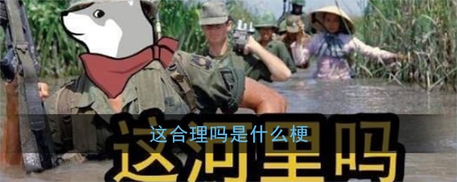 这合理吗是什么梗 这河里吗梗含义出处介绍