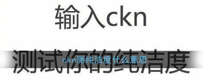 ckn是什么意思污的 ckn测纯洁度什么意思