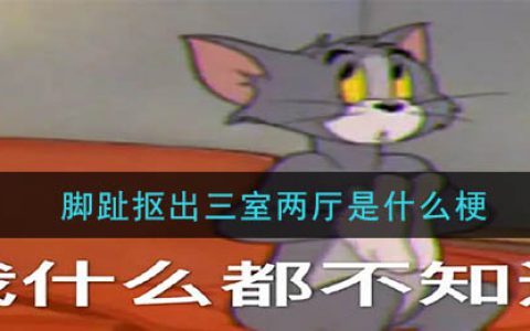 脚趾抠出三室两厅是什么梗 脚趾抠出三室两厅意思介绍