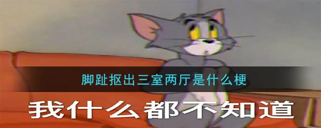 脚趾抠出三室两厅是什么梗 脚趾抠出三室两厅意思介绍