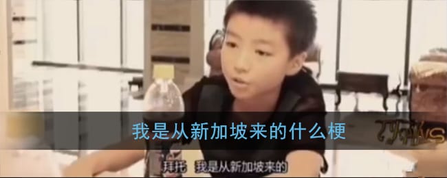 我是从新加坡来的什么梗 王俊凯我是从新加坡来的新嘎坡
