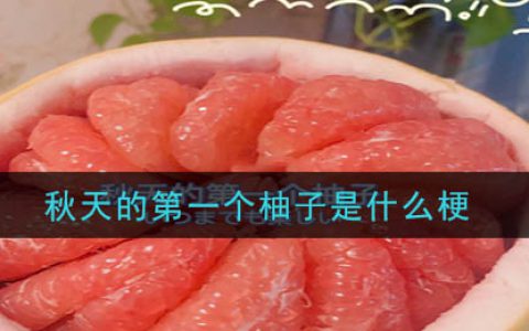 秋天的第一个柚子是什么梗 秋天的第一个柚子梗的意思及出处介绍