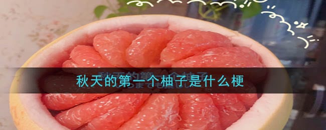 秋天的第一个柚子是什么梗 秋天的第一个柚子梗的意思及出处介绍