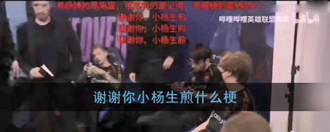 谢谢你小杨生煎什么梗 小杨生煎梗含义出处