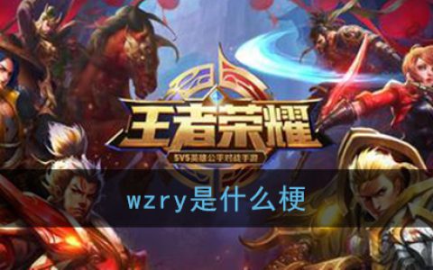 wzry是什么梗 wzry是什么缩写