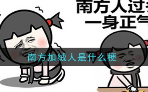 南方加绒人是什么梗 南方加绒人梗的意思及出处介绍
