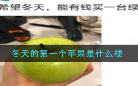 冬天的第一个苹果是什么梗 冬天的第一个苹果梗的出处及介绍