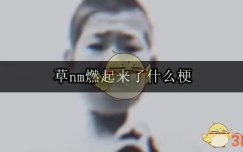 草nm燃起来了什么梗 草nm燃起来了是什么意思