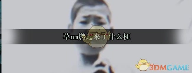 草nm燃起来了什么梗 草nm燃起来了是什么意思