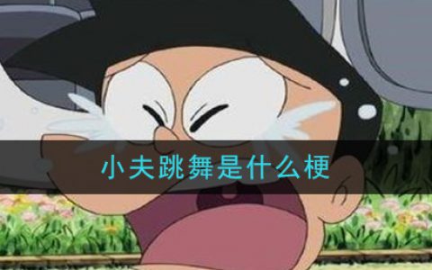 抖阴小夫跳舞是什么梗 小夫跳舞梗的意思及出处介绍