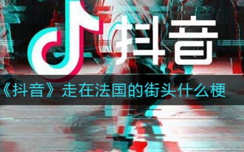抖阴走在法国的街头什么梗 走在法国的街头什么梗