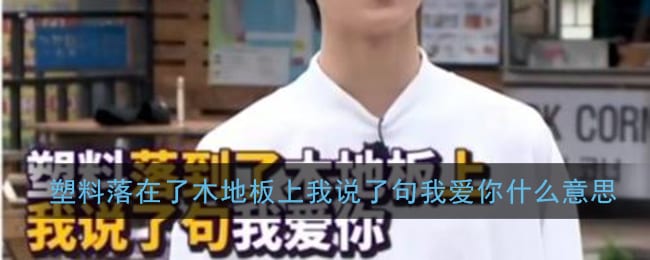 塑料落到了木地板上什么意思 塑料落在了木地板上我说了句我爱你梗含义出处