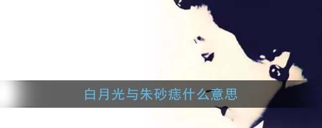 白月光与朱砂痣什么意思 白月光和朱砂痣在爱情中表达的含义