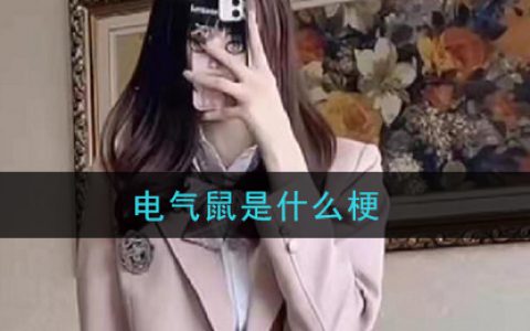 抖阴电气鼠是什么梗 电气鼠梗的意思及出处介绍