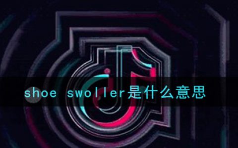 抖阴shoe swoller是什么意思 shoe swoller意思介绍