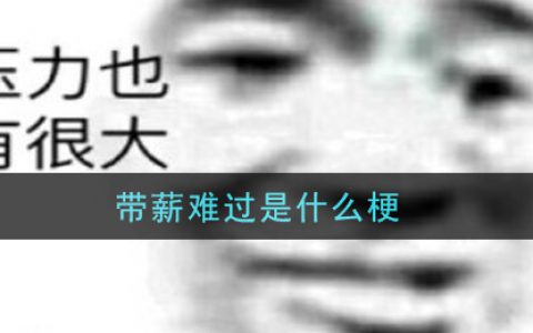 带薪难过是什么梗 带薪难过梗的意思及出处介绍