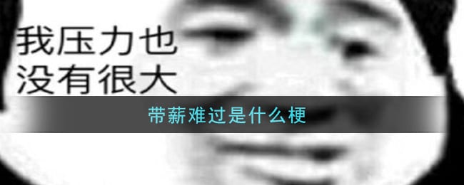 带薪难过是什么梗 带薪难过梗的意思及出处介绍