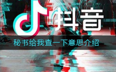 抖阴秘书给我查一下是什么梗 秘书给我查一下意思介绍