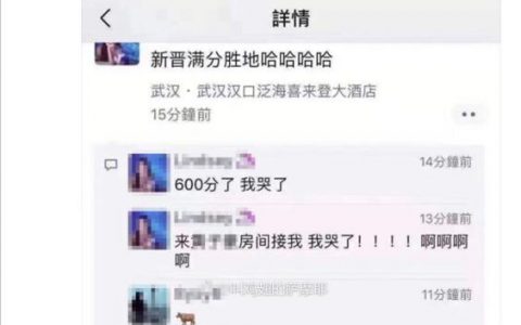 抖阴600分是什么意思 武汉喜来登600分女孩是什么梗