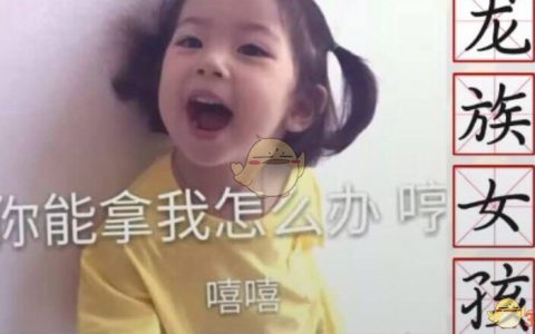 抖阴龙族女孩是什么梗 龙族女孩的含义介绍