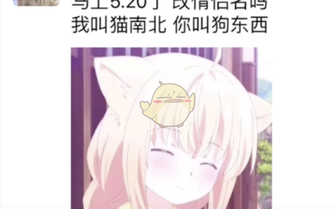 抖阴猫南北狗东西是什么梗 520要到了猫南北狗东西情侣名含义介绍