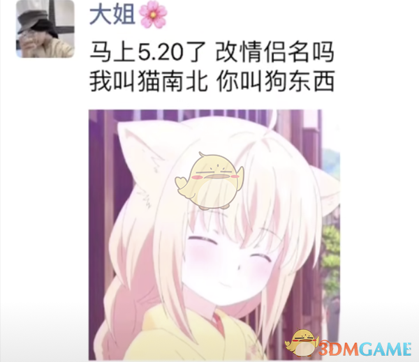 抖阴猫南北狗东西是什么梗 520要到了猫南北狗东西情侣名含义介绍图