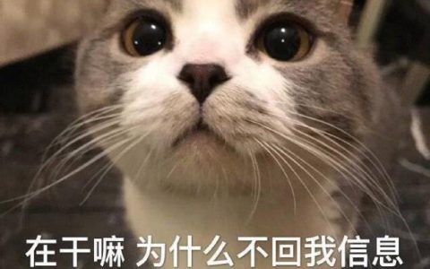 抖阴电话不接信息不回是什么梗 抖阴热梗含义出处分享