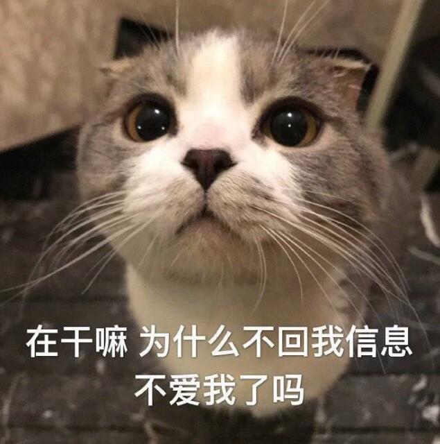 抖阴电话不接信息不回是什么梗 抖阴热梗含义出处分享