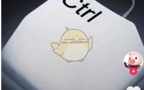 ctrl键是什么意思 抖阴ctrl键热梗含义出处分享