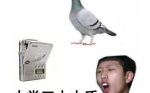 人类三大本质什么意思 抖阴复读机真香鸽子含义出处分享