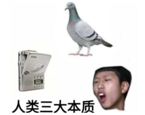 人类三大本质什么意思 抖阴复读机真香鸽子含义出处分享