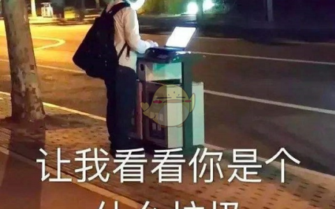 抖阴你是什么垃圾是什么梗 你是什么垃圾意思含义