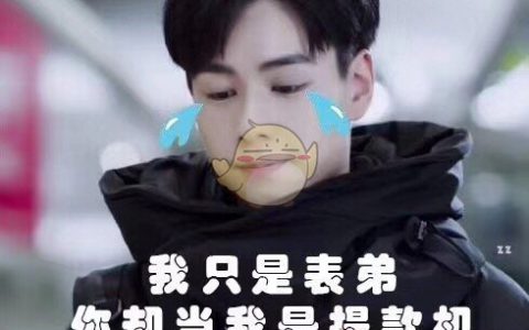 兄嫂本无缘全靠我花钱是什么梗 兄嫂本无缘全靠我花钱含义出处介绍