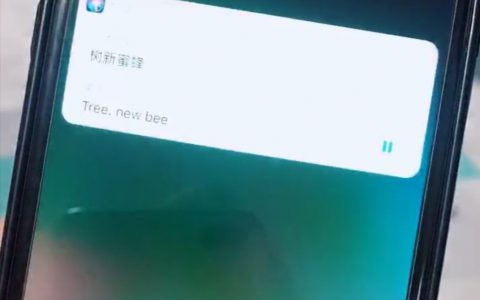 抖阴树新蜜蜂是什么梗 树新蜜蜂是什么梗