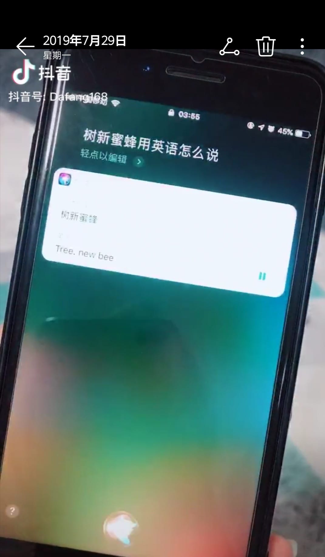 抖阴树新蜜蜂是什么梗 树新蜜蜂是什么梗