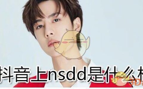 抖阴上nsdd是什么梗 抖阴nsdd含义分享