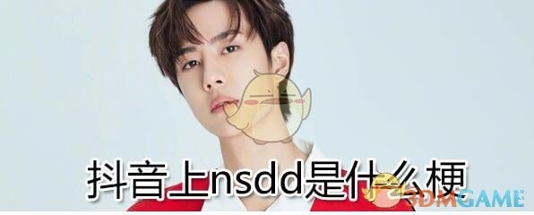 抖阴上nsdd是什么梗 抖阴nsdd含义分享