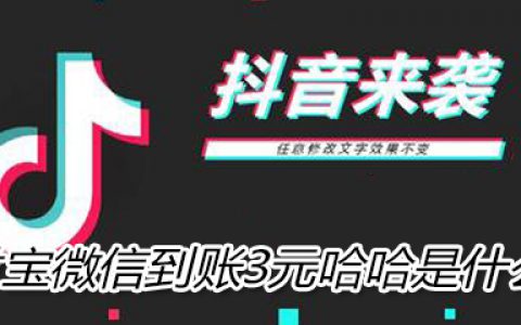 抖阴支付宝微信到账3元哈哈是什么梗 意思 含义 出处介绍