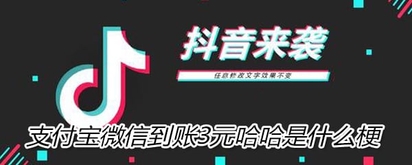 抖阴支付宝微信到账3元哈哈是什么梗 意思 含义 出处介绍